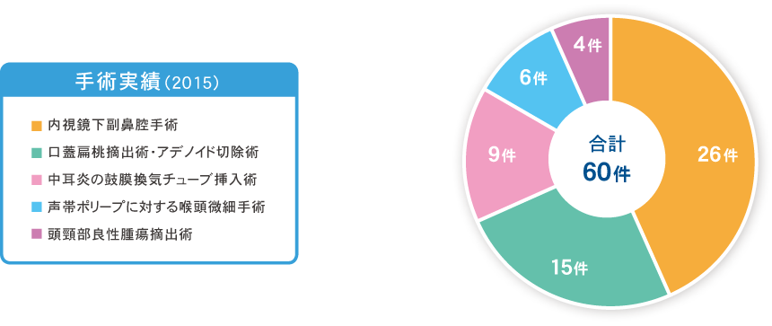 耳鼻咽喉科手術実績（2015年）